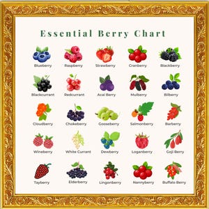 Berry Printable Poster | Kitchen Wall Art | Digital Download | Berry Chart for Kids and Adults | Healthy Eating Decor | Berries Guide