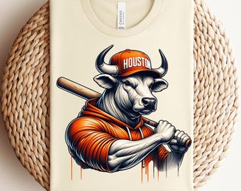 Houston Baseball Gameday T-shirt, Baseball Fans Shirt, Houston Baseball Shirt, Baseball Lover Shirt, Houston Baseball Mom and Dad Shirts