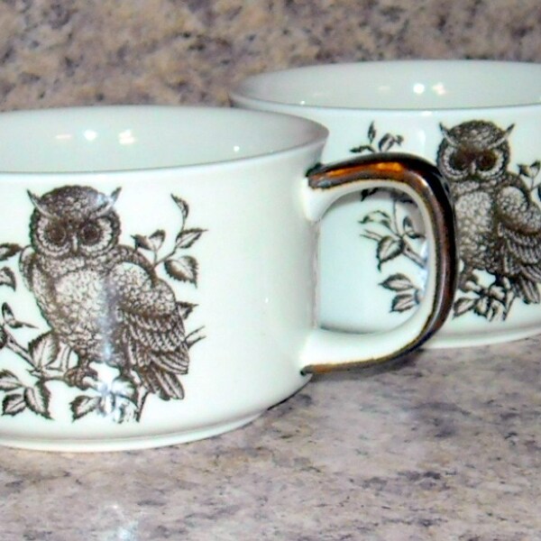 Vintage Owl Mugs / Large / Beverage / Soup