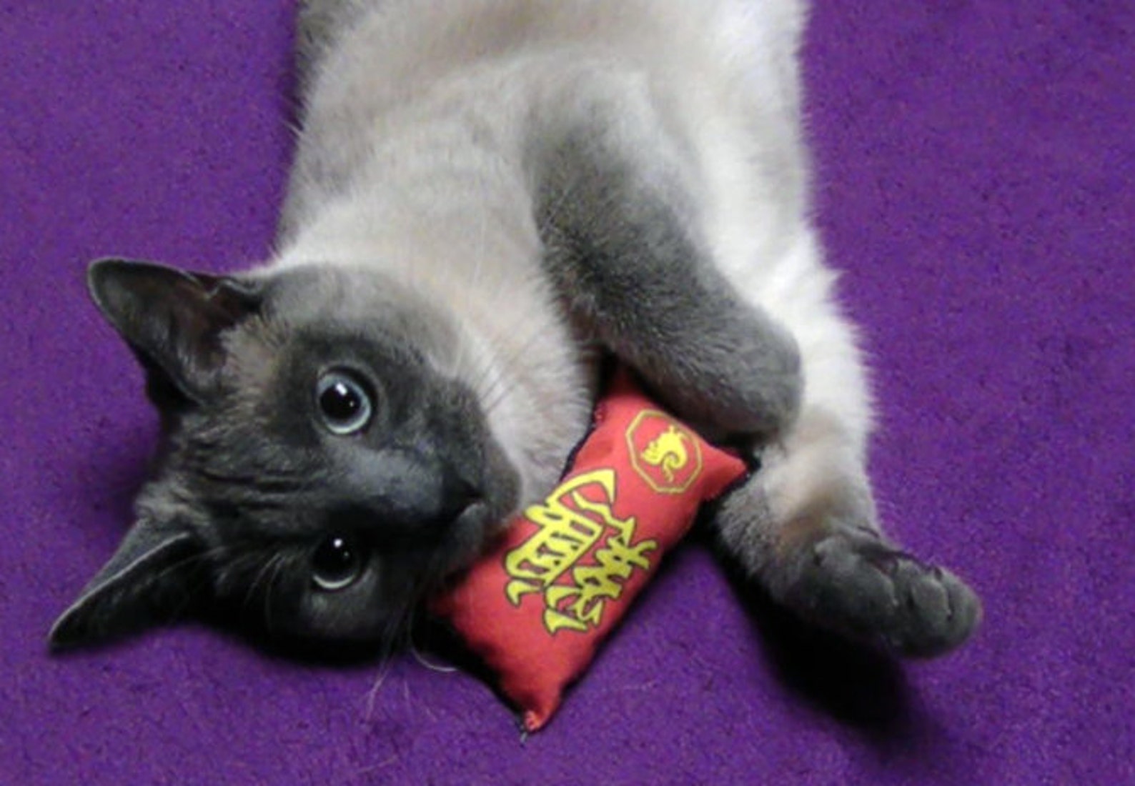 Police Box Catnip Toy Etsy