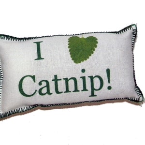 I &lt;3 Catnip Toy