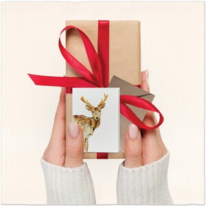 Mini Holiday Cards: Watercolor Reindeer, Box of 12 Small Gift Enclosures for Christmas Presents