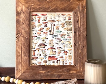 Framed Mushroom Picture, Mushroom Foraging Decor for Kitchen, Woodland Decor for Home, Natural Decorating, Vintage Mushroom Chart for Wall