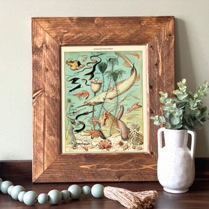 May include: A framed vintage print titled "Oceanographie" featuring illustrations of various marine life, including a swordfish, shrimp, and seaweed. The print is set within a rustic, brown wooden frame. A white vase with greenery is on the right.