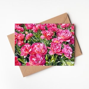 Afdrukbare wenskaart pioenroos, blanco kaart, direct digitaal downloaden, drie kaartformaten: 5 x 7 inch, 4 x 6 inch en 4,75 x 4,75 inch.