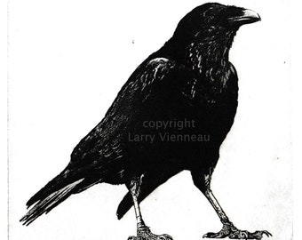 Raven artwork , Raven, crow,  Etching, Hrafn.  Raven Portrait, Unique gift, , Crow Wall Art, Raven Art, Wildlife Décor