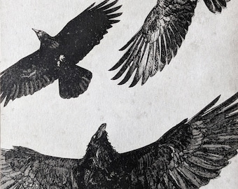 Raven Flight Etching, Hand-Printed Intaglio Art