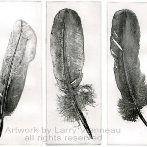 ANGEL, FEATHER, Raven artwork , Raven, crow,  etching, dry point and engraving. 8.5 x 3.5 inch 2011