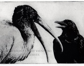 Wall Art, Raven artwork , Raven, crow,  black bird, Wood Stork,  Aesop Fables,  etching, unique gift, Halloween,