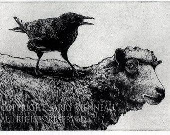 Wall Art, Raven artwork , Raven, crow,  black bird, Sheep, Ram,  Aesop Fables,  etching, unique gift, Christmas,