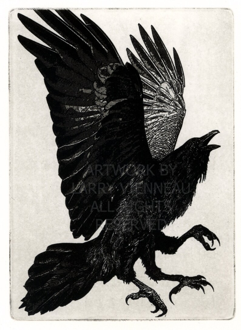 Raven artwork raven crow three legged crow etching 8 inch