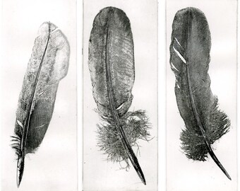Archangel Feathers Etching, Triptych Feather Art Print