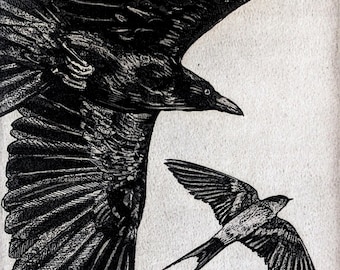 Holiday Gift. Raven artwork, Swallow, Aesop Fables, etching, Crow Wall Art, Wildlife Décor