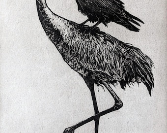 Holiday, Aesop Fable, Crow Print, Crow Art, Raven Art, Sandhill Crane, Bird, Crow Wall Art, Raven Art, Crow Art Print, Wildlife Decor
