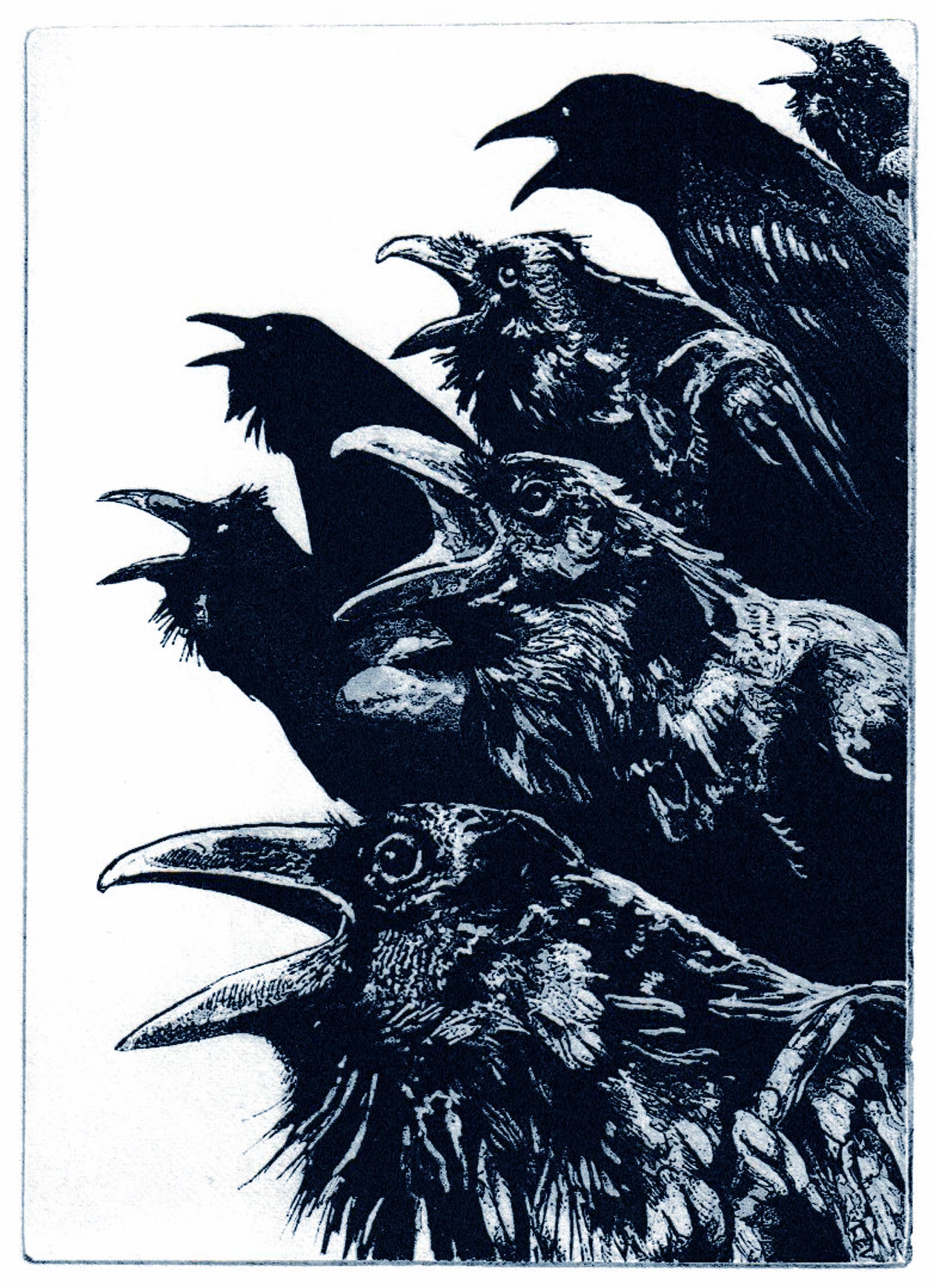 Wall Art Goth Art Viking Art Raven Artwork Raven Crow - Etsy