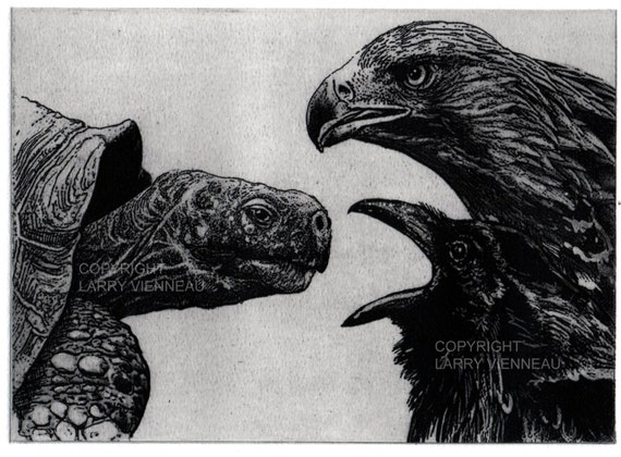Raven Artwork Raven Crow Black Bird Tortoise Eagle Aesop Fables Etching