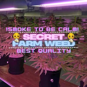 Secret Farm Weed – Underground Weed Plantation for GTA 5 FiveM