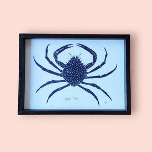 Impresión en linóleo de un cangrejo araña azul, ideal para decoración de paredes. Ilustración en papel de calidad de 200g. Firmado. Enmarcado.