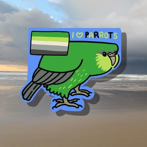 May include: A sticker featuring a green parrot with a light green beak and a blue background. The sticker includes the text "I ❤️ PARROTS" and an aromantic pride flag. The parrot is standing on two feet.