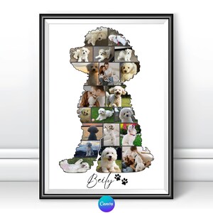 Progetta il tuo collage di animali domestici in Canva, modello Canva modificabile per collage di animali domestici, cane, razza di barboncino, barboncino