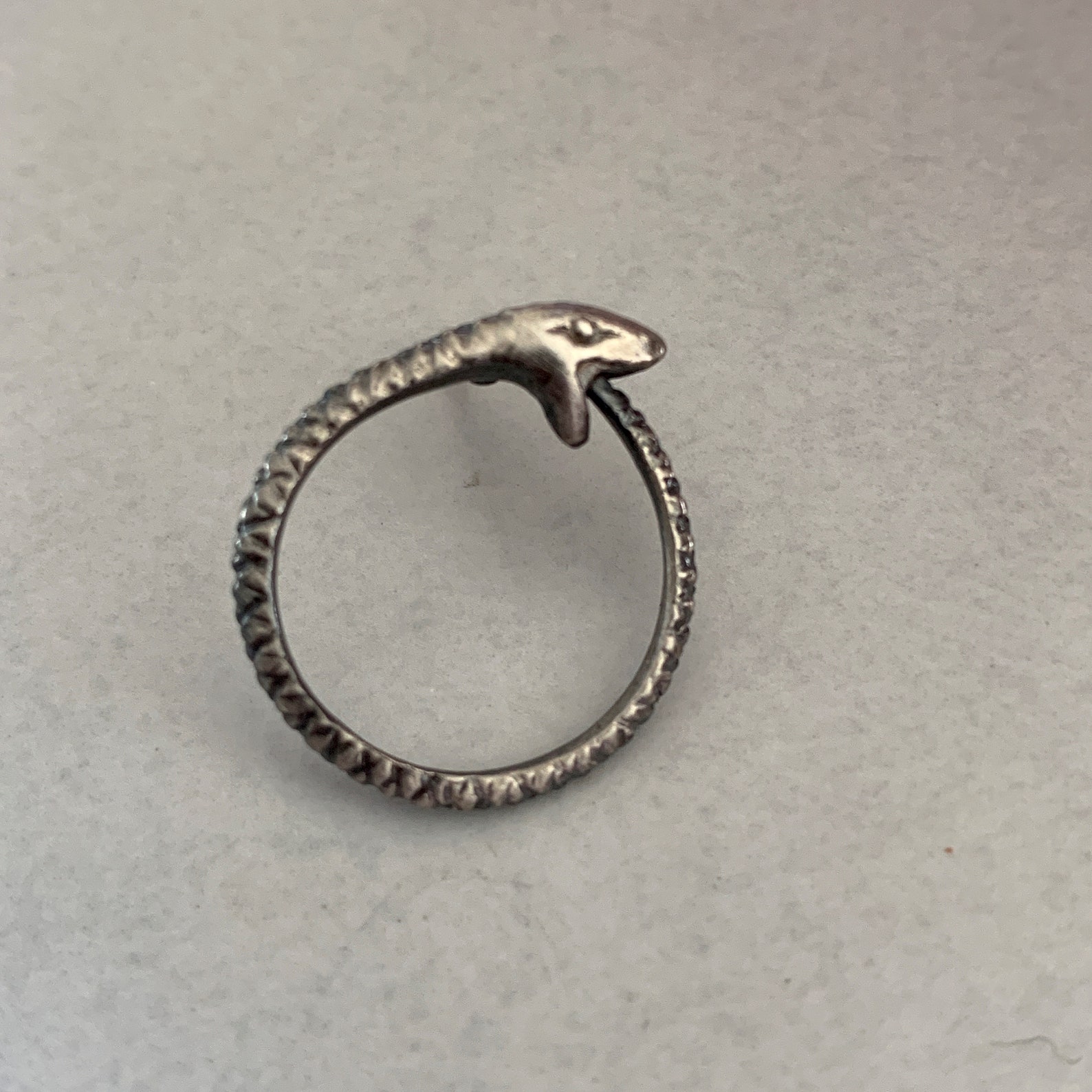 The Ouroboros Enigma Paradox Baltimore S Eternal Cycle Of Mystery - am1emhg