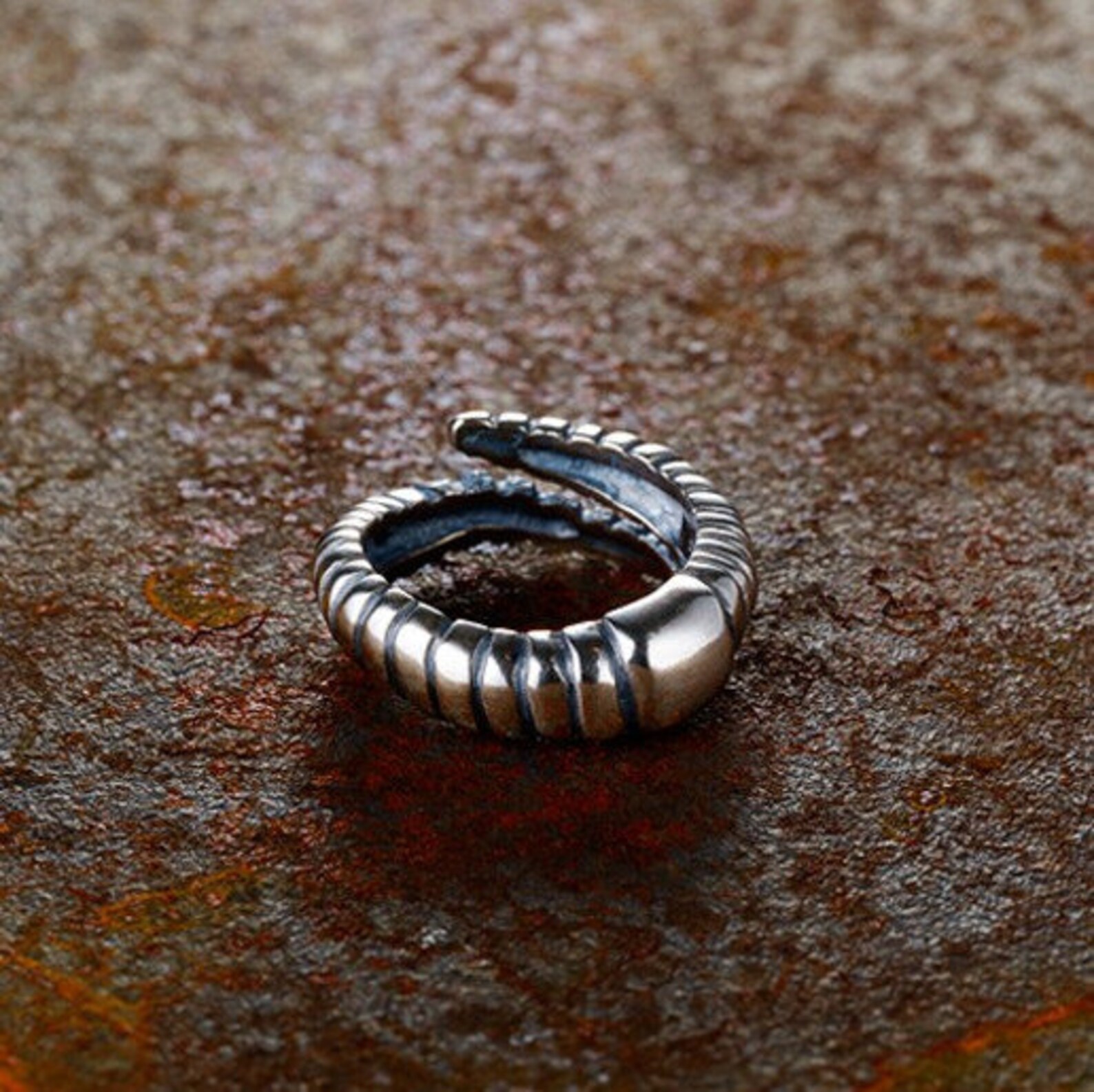 Worm Ring Earthworm Ring Nightcrawler Ring Early Bird Ring Etsy