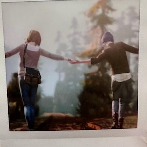 Life is Strange Polaroid, videogame Max Caulfield and Chloe Price- Railroad pricefield