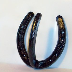 Single Horseshoe Coat Hook