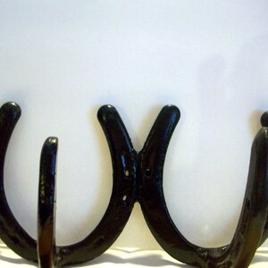 Horse Shoe Double Hooks for Holding Anything and Everything image 1