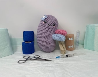 Crochet Right Kidney Plushie, Kitty the Kidney