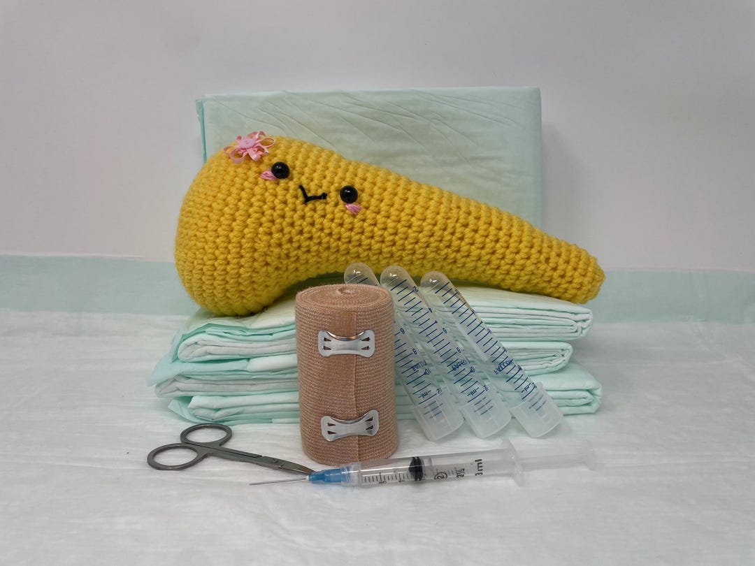 Amigurumi Crochet Pancreas, Pam the Pancreas - Etsy