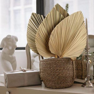 Jumbo Dried Sun Palm Wispy Natural Spades Leaf, Dried Floral Boho Dry Pampas Floral Home Party Wall Palm Spades, Anahaw Dried, DIY Crafts