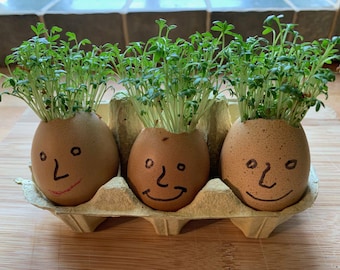 Personalized Cress Seed Party Favors | Eco-Friendly Kids' Gift