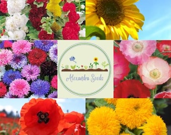 Flower Seed Packet Bundle, Poppies, Sunflowers, Hollyhock