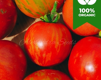 Organic Tigerella Tomato Seeds | Striped Heritage Salad Tomato | Heirloom Vegetable Seeds for Garden & Containers