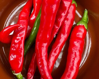 Hot Pepper Cayenne Capsicum Pepper 10 Premium Seeds *FREE POST*