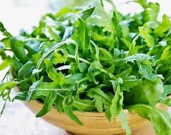 Organic Wild Rocket Arugula Seeds – Salad Greens, 500 Seeds