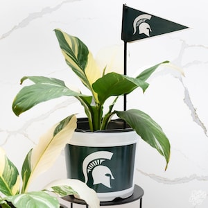 Michigan State University (Msu) 7.5 In Pots™ (Made In Usa) 2Pc|Set
