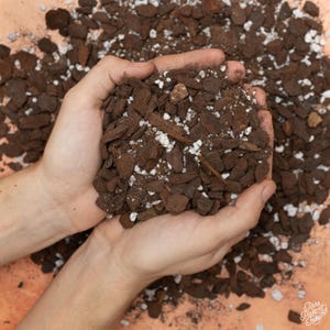 Rpf Aroid Chunky Soil Mix - 1 Gallon