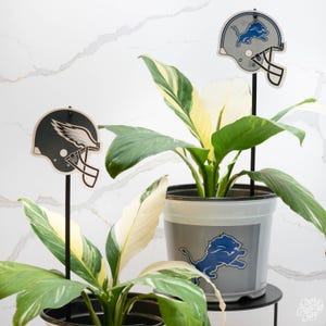 Detroit Lions 7.5 In Pots™ (Made In Usa) 2Pc|Set