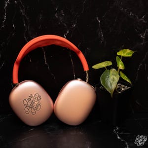 Alocasia 'Uhinkii' variegated (previously Alocasia wentii) *Grower's Choice* Bild 3