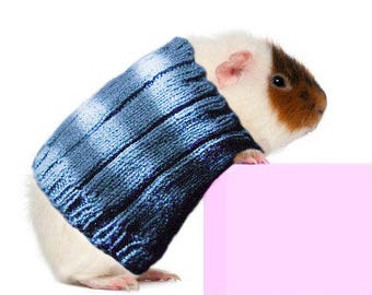 Guinea Pig Sweater Striped Cozy Unique Extra Stretchy One-Size-Fits-Most Adult Piggies Clothes Accessories