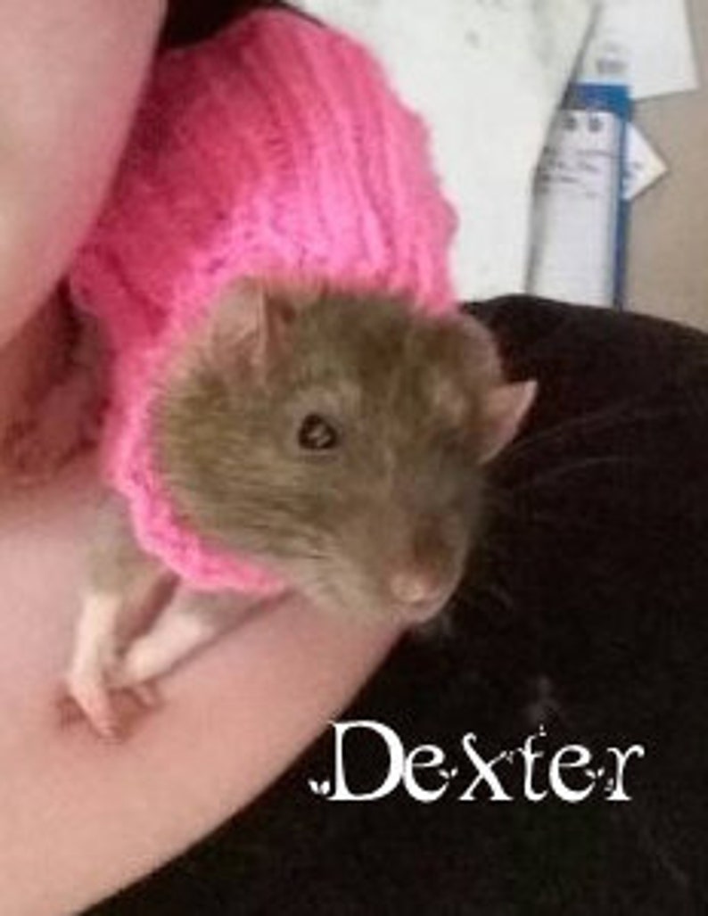 Pet Rat Sweater Cozy Unique Extra Stretchy One-Size-Fits-Most Rodents Clothes Accessories image 3