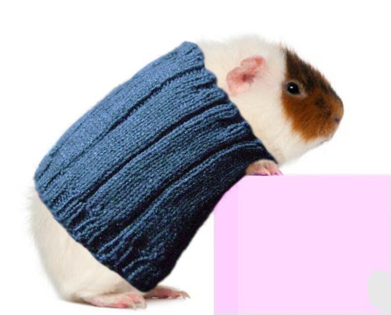 Guinea Pig Sweater Cozy Unique Extra Stretchy Onesizefitsmost Adult