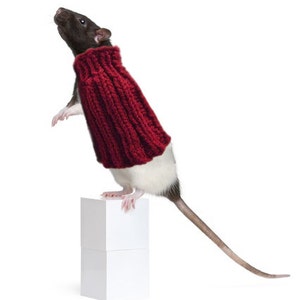 Pet Rat Sweater Cozy Unique Extra Stretchy One-Size-Fits-Most Rodents Clothes Accessories image 1