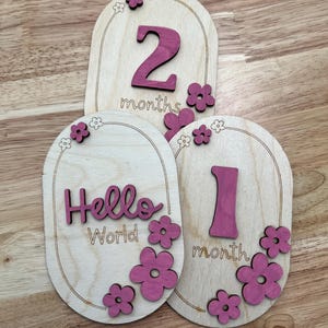 Baby Milestone Discs, Newborn Photo Prop, Baby Shower Gifts, Wooden Milestone Discs, Baby Milestone Cards, Baby Personalized Gift, Baby Gift