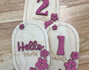 Wooden Baby Milestone Discs, Newborn Photo Prop, Baby Shower Gift