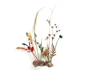 Creación de plantas naturales en miniatura