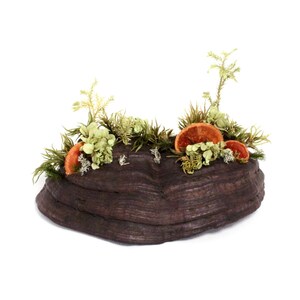 Floating Mushroom- Real mushroom art- Natural plants, mosses, cedar and flowers creation