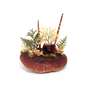 Floating Mushroom- Real mushroom art- Natural plants, mosses, cedar and flowers creation